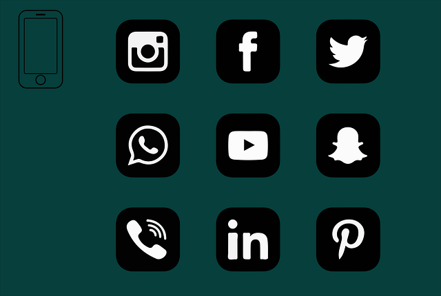 Social Media Platforms